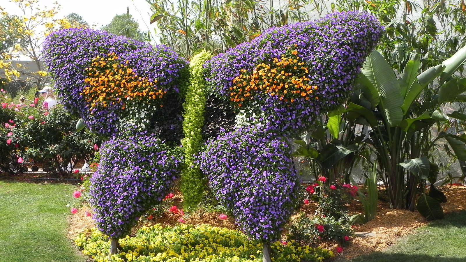 , , epcot, international, flower, garden, festival, , 