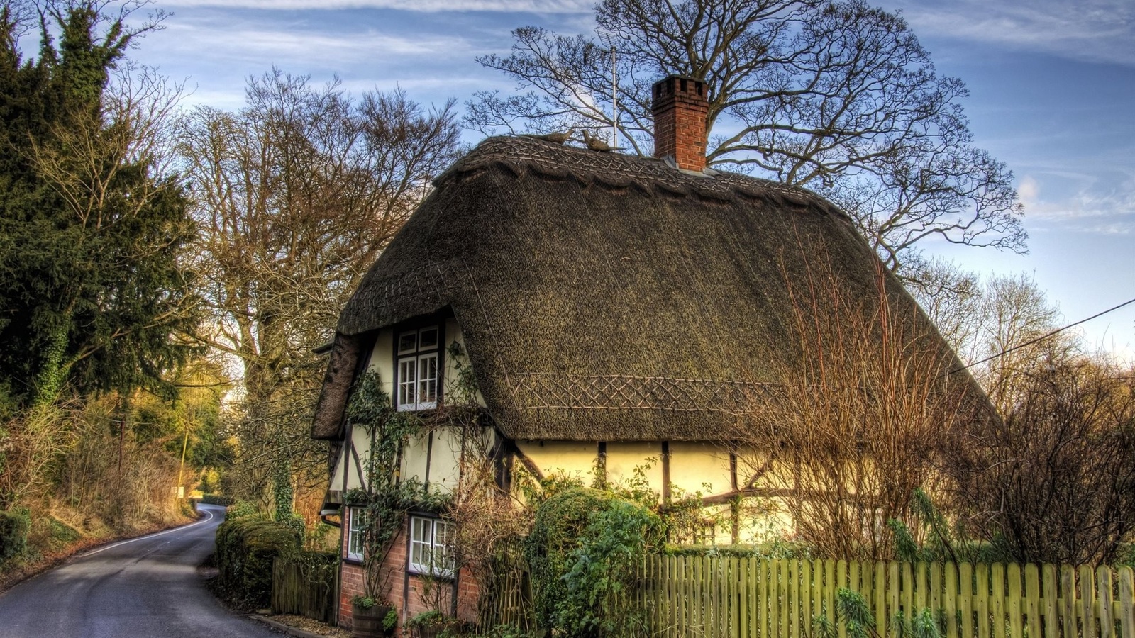 hut, road, trees, countryside