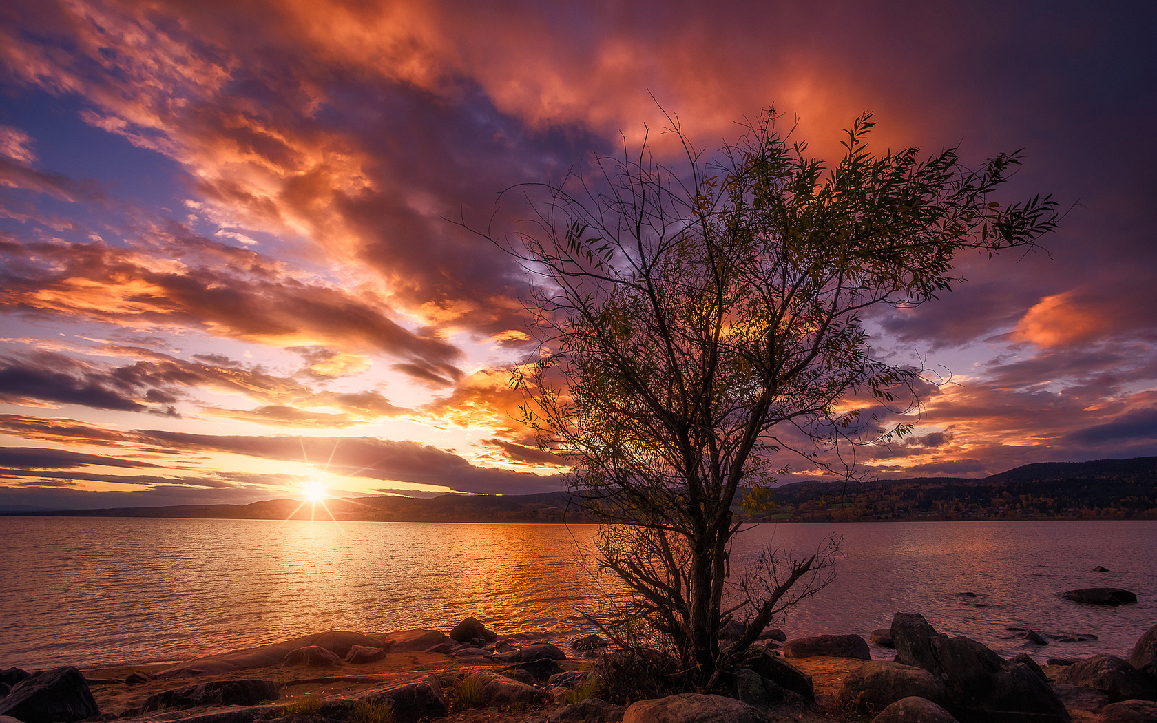 , , , , , , ,ole henrik skjelstad