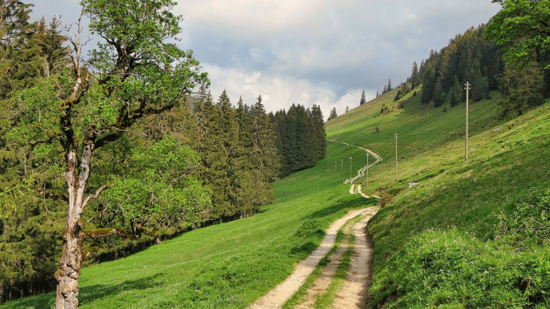 path, green, mountain, hills