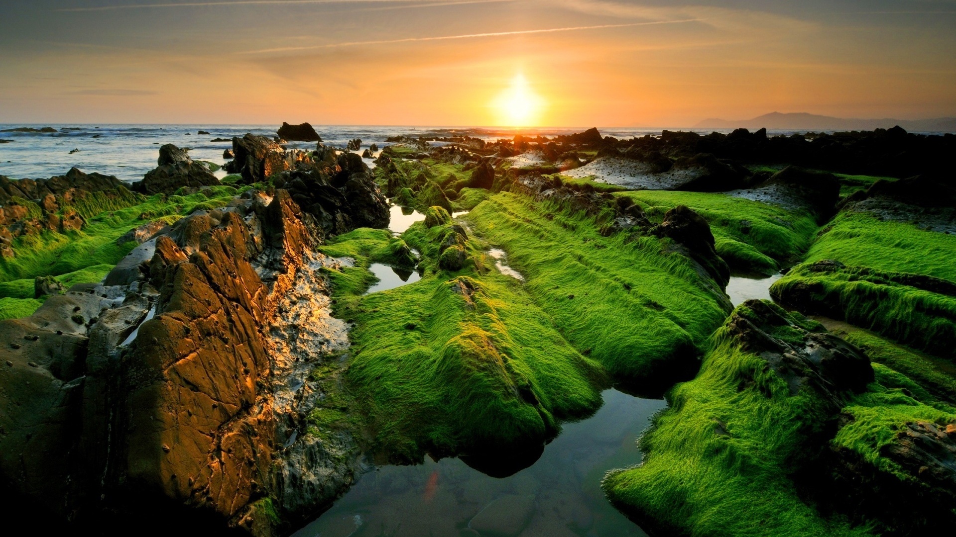 moss, coast, sunrise, clouds, , , , , 