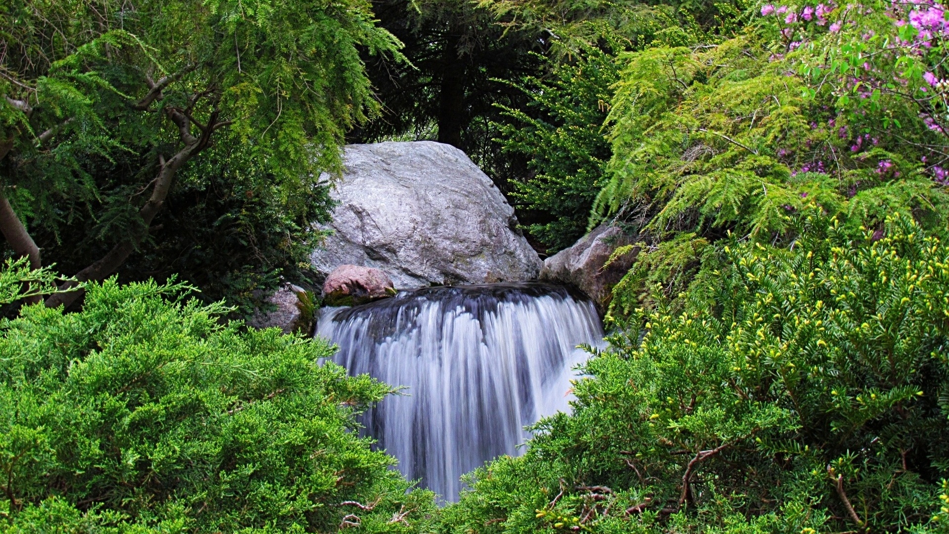 garden, waterfall, trees, water, green