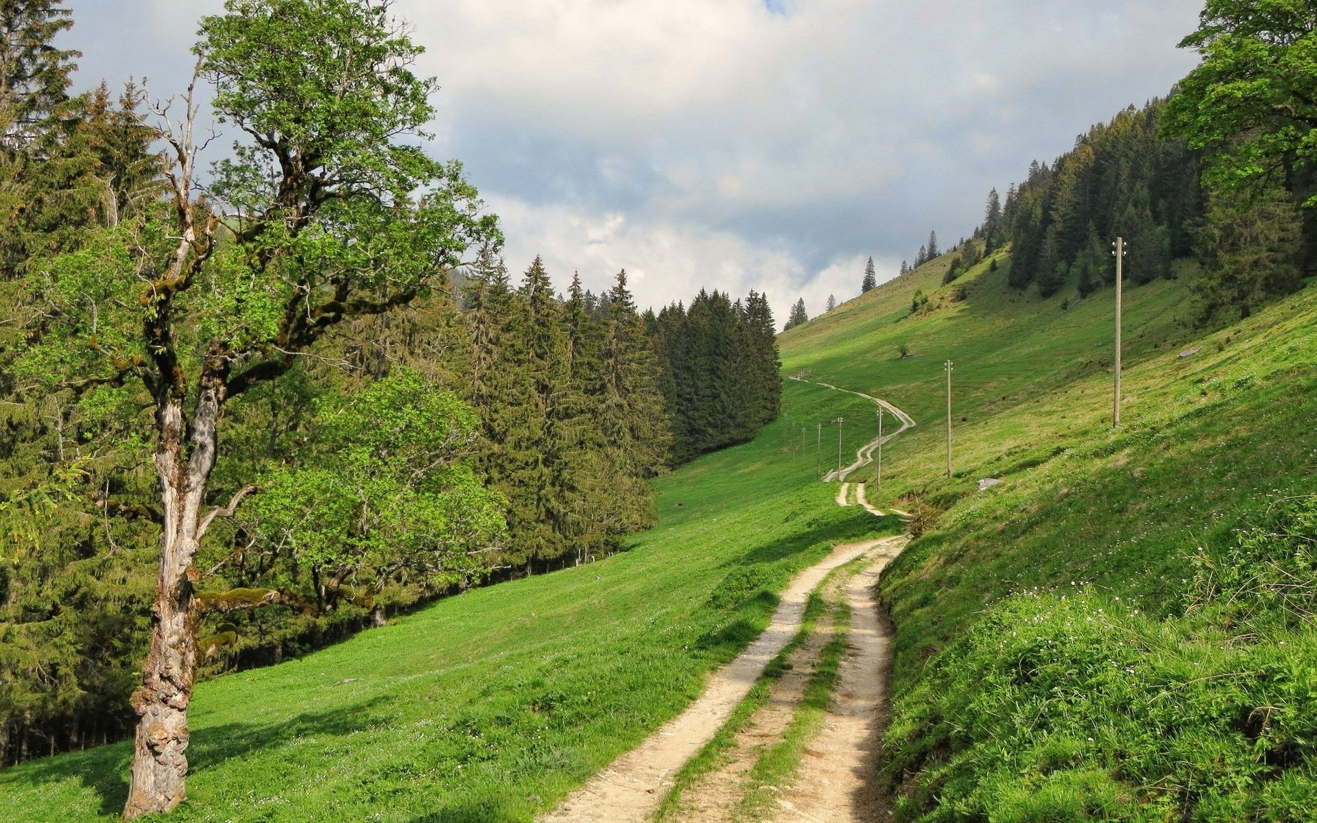 path, green, mountain, hills