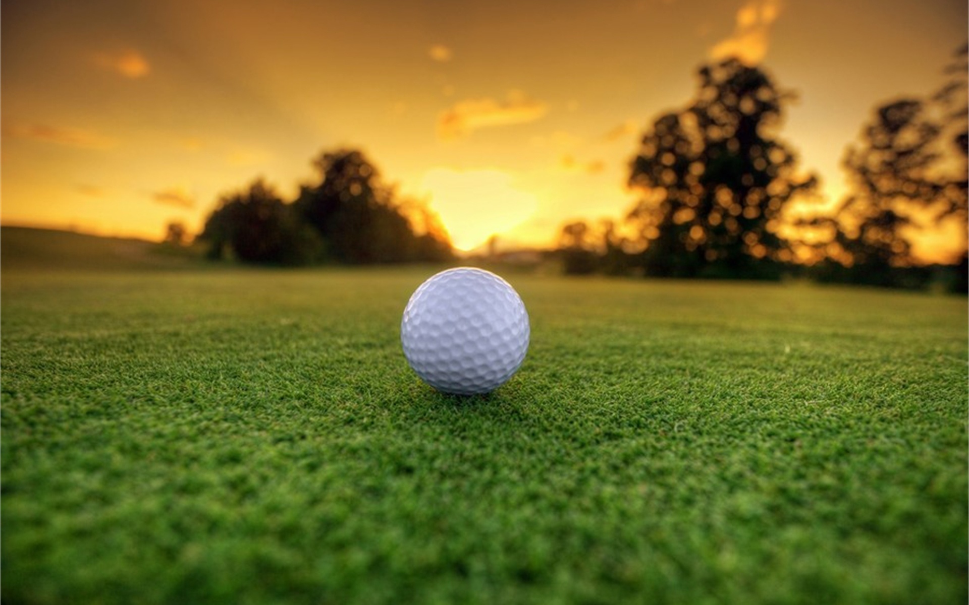 golf, fields, grass, ball, , , , , 