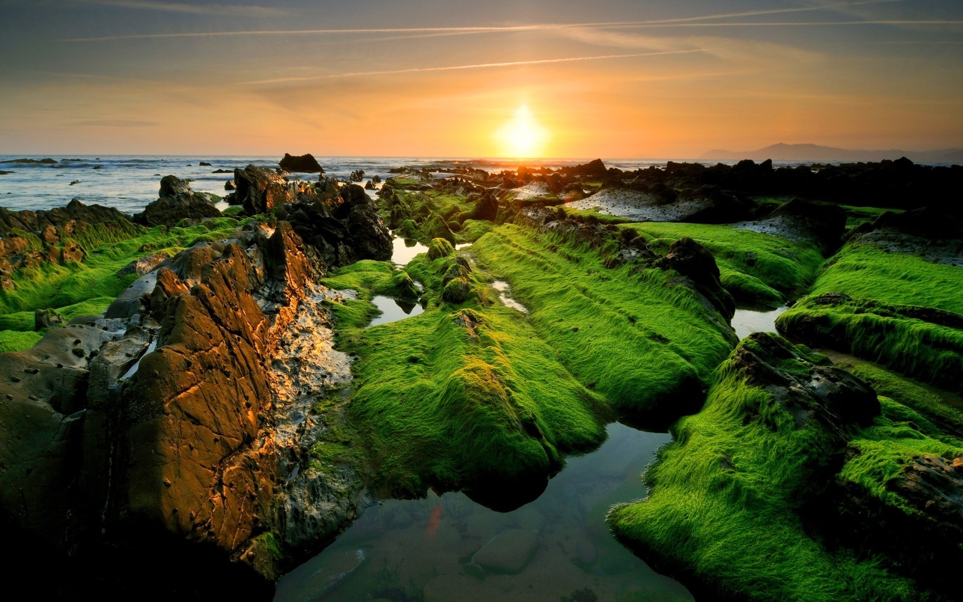 moss, coast, sunrise, clouds, , , , , 