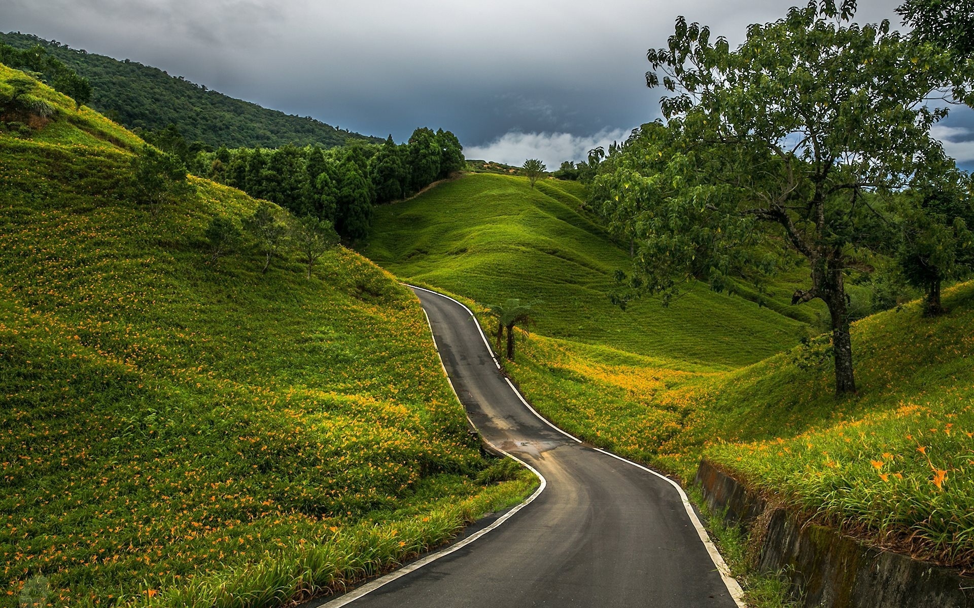 road, tree, hills, clouds