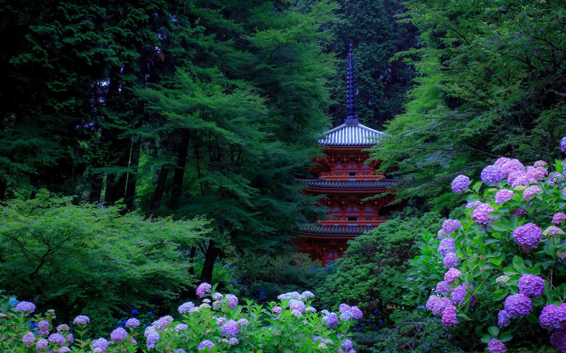 , , , , kyoto, , 