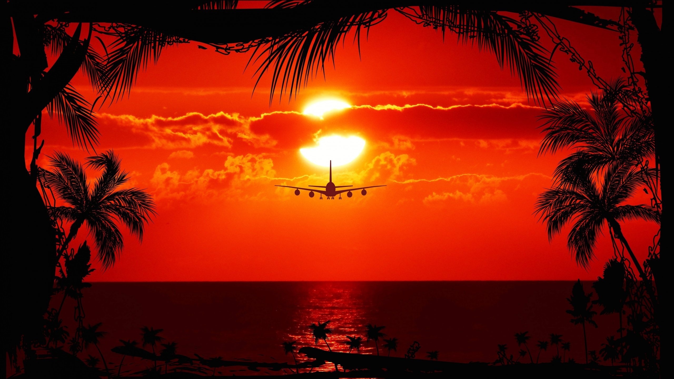 aircraft, sunset, trees, sky, , , , , 