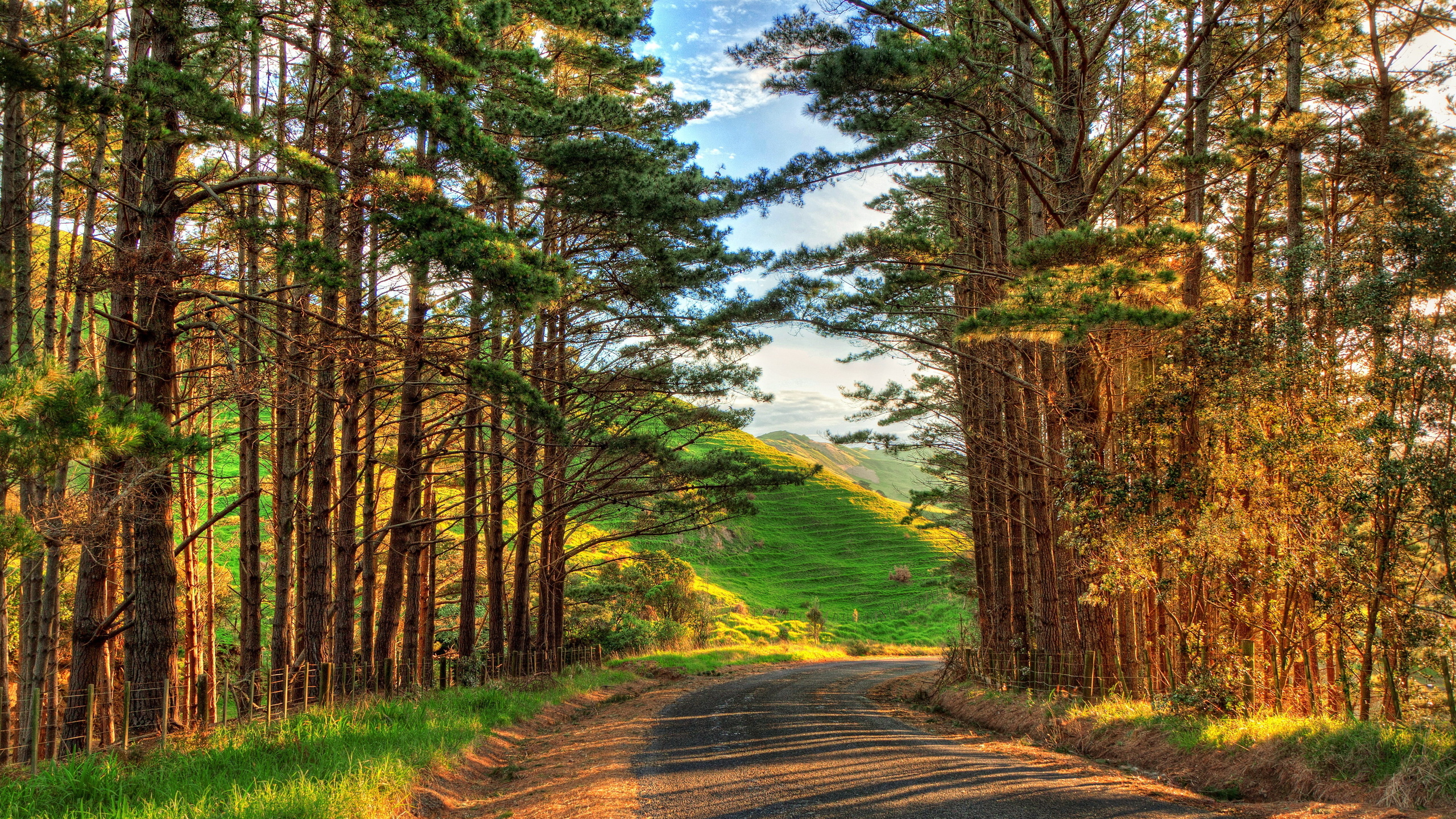 path, hills, trees, field, , , , , , , , , ,, , 