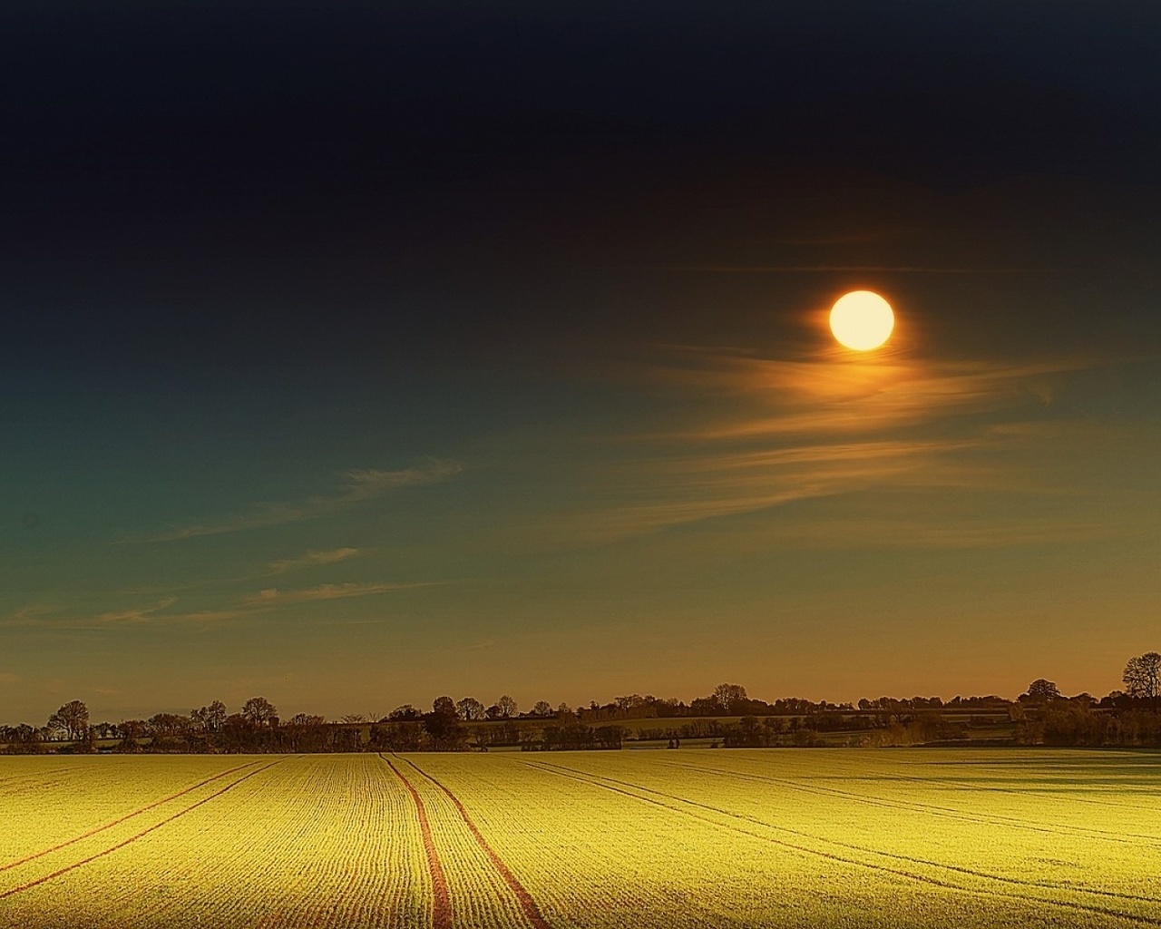 yellow, moon, field, night