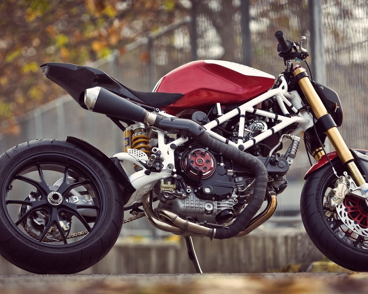 ducati, , 