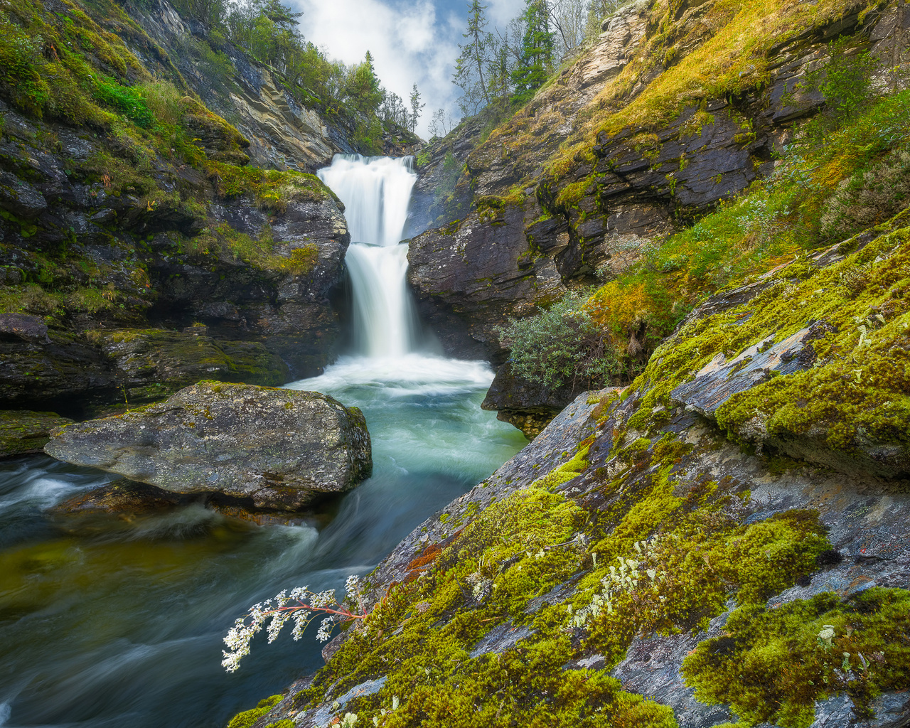 , ,  , , , , , ,ole henrik skjelstad