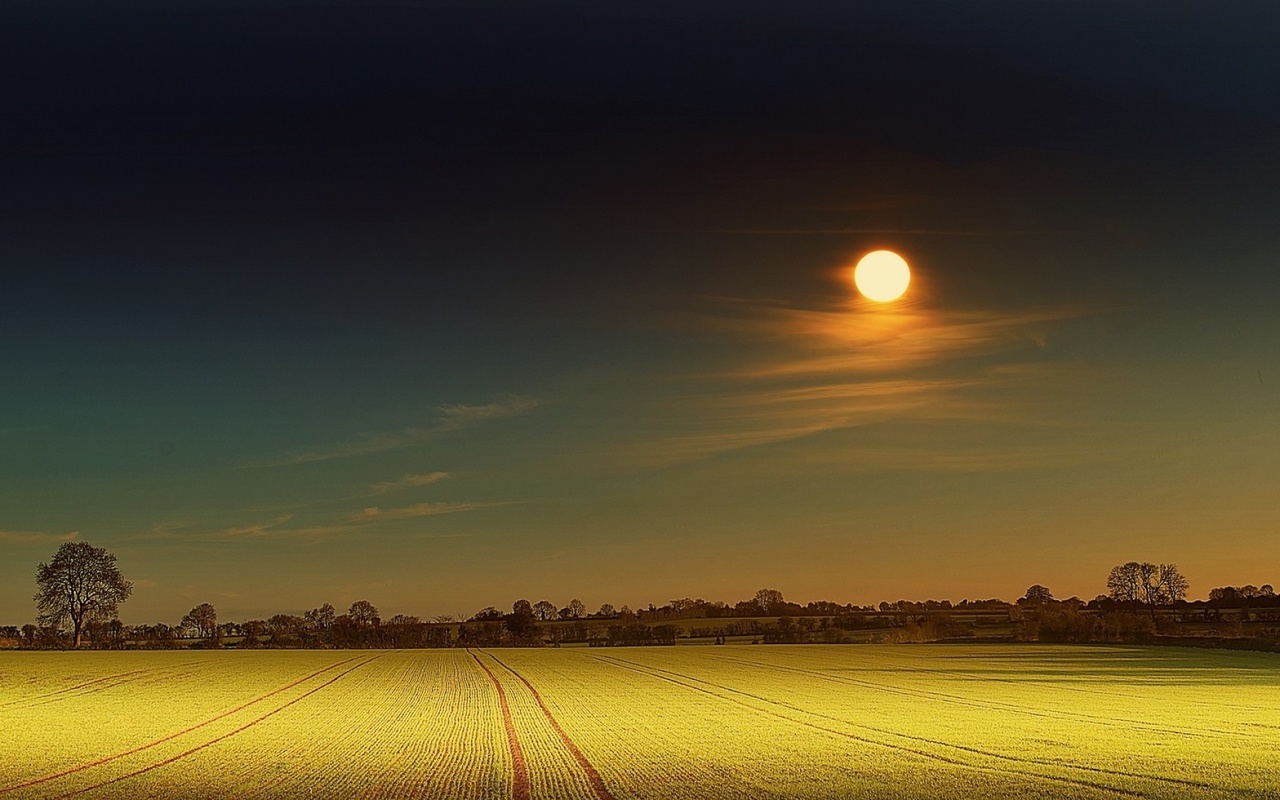 yellow, moon, field, night