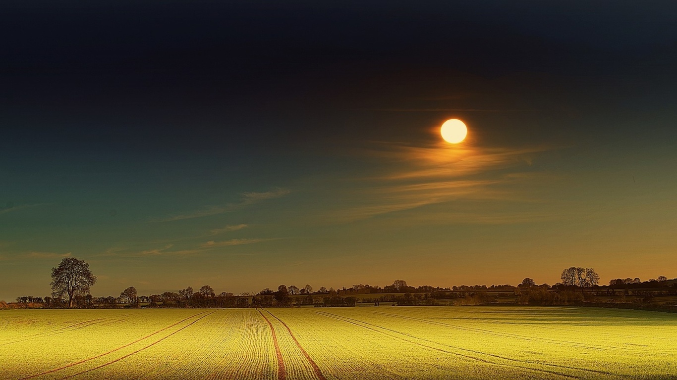 yellow, moon, field, night