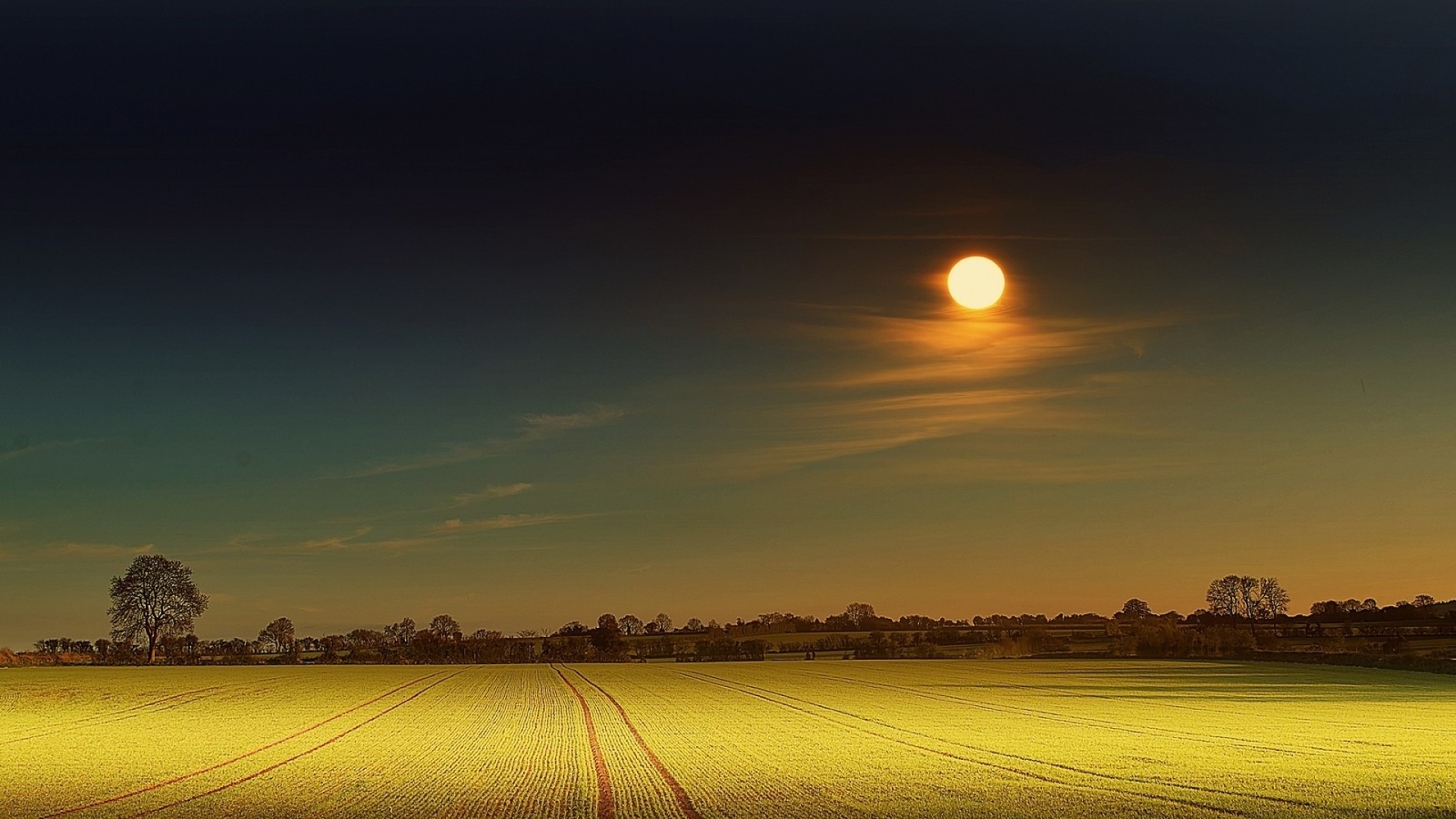 yellow, moon, field, night