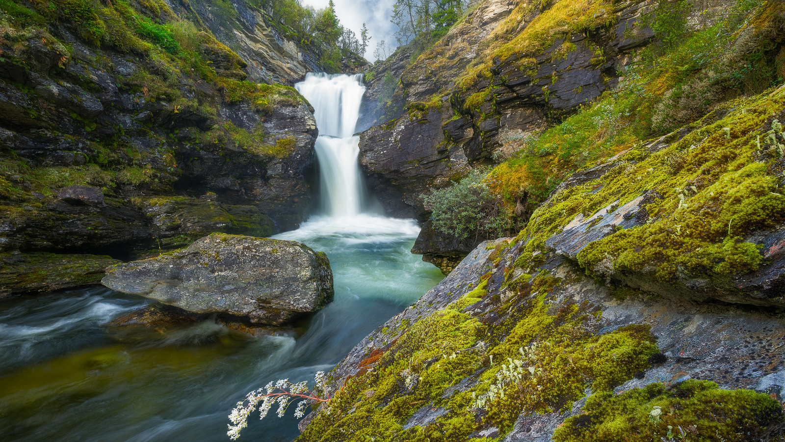 , ,  , , , , , ,ole henrik skjelstad