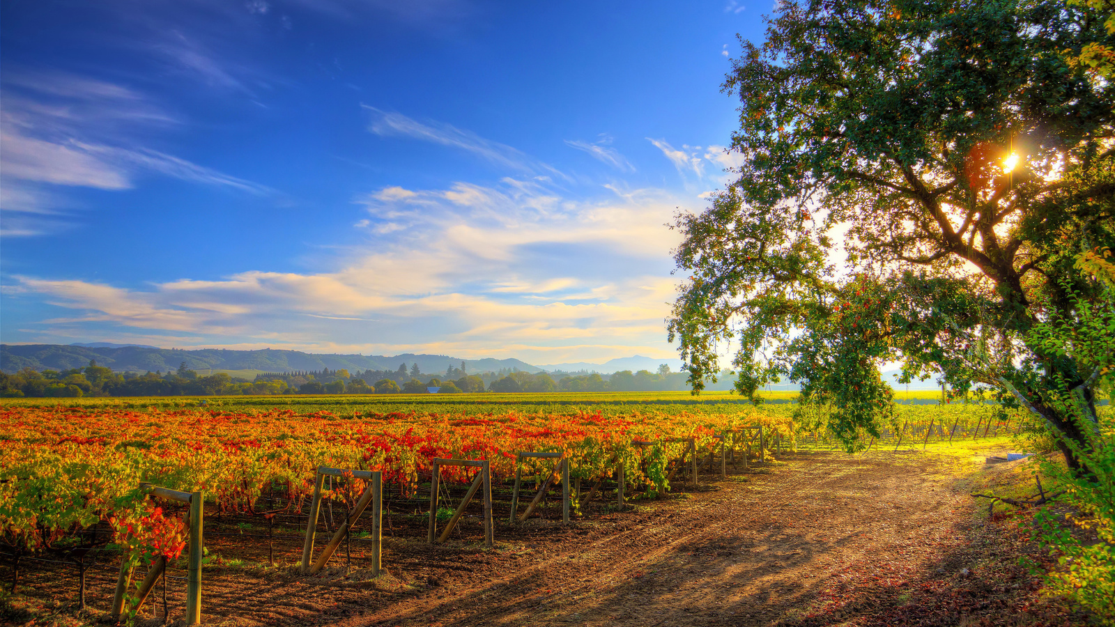 , , , healdsburg wine tour, , 