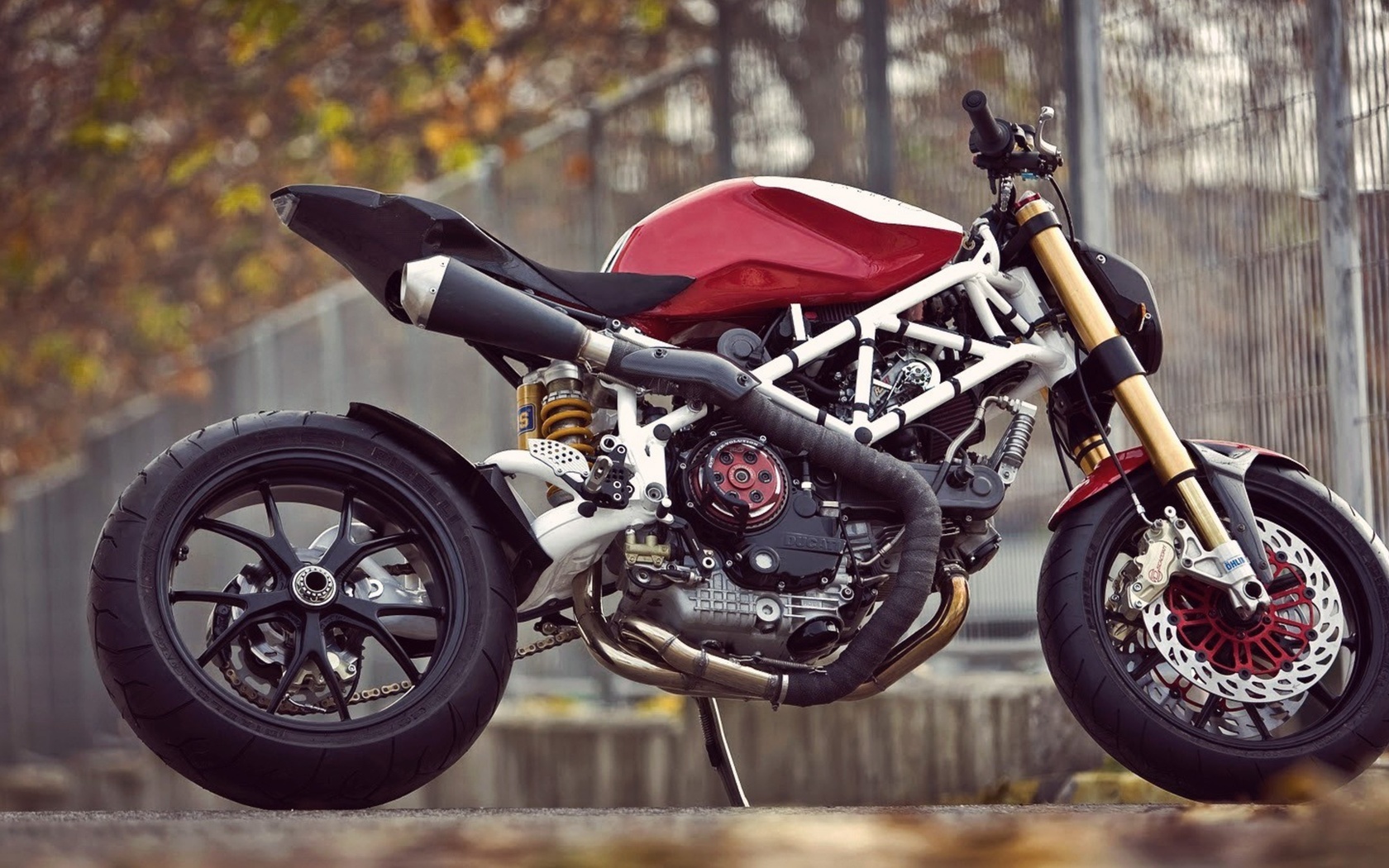 ducati, , 