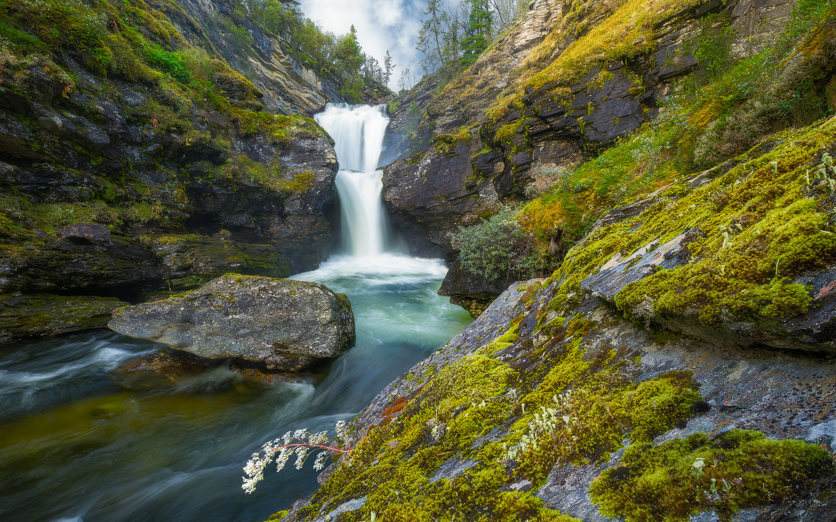 , ,  , , , , , ,ole henrik skjelstad