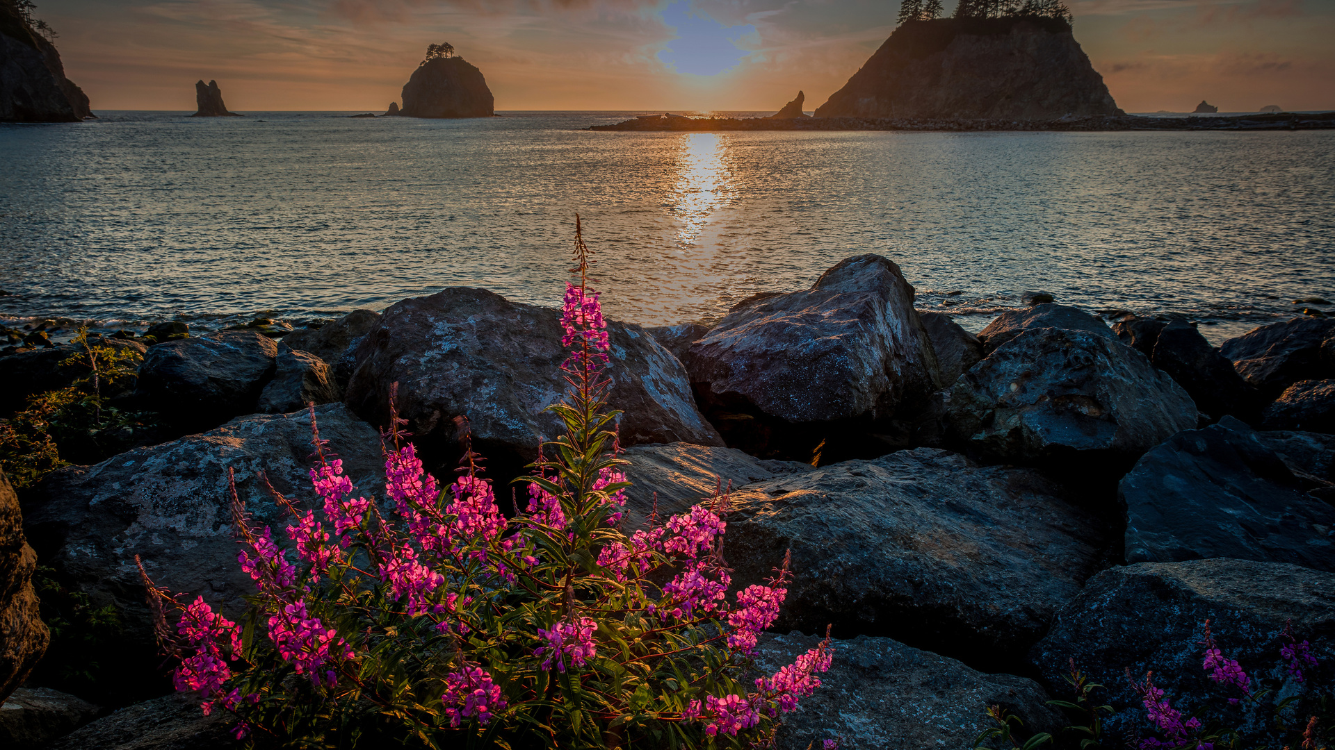 , , , , olympic national park, 