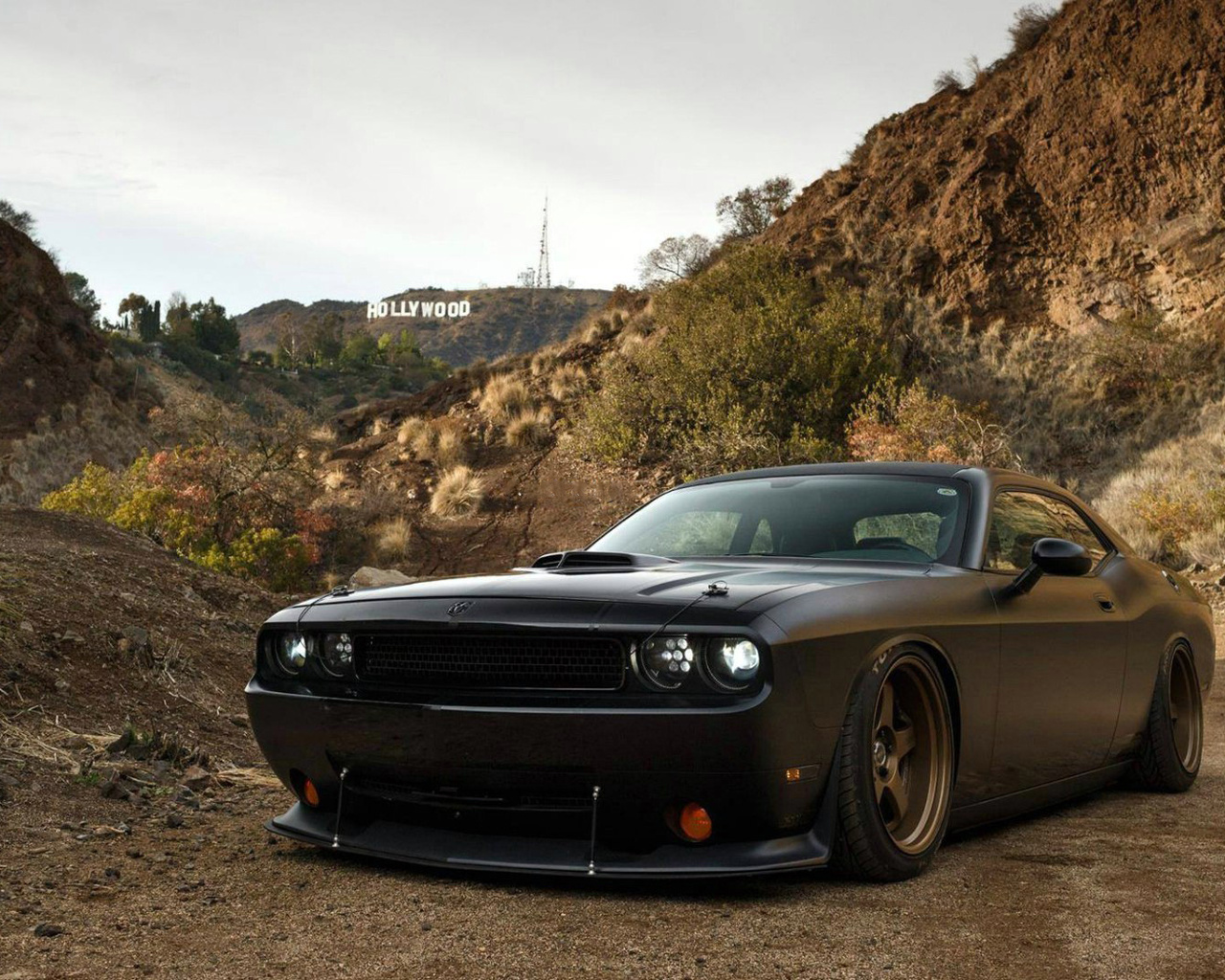 dodge, 