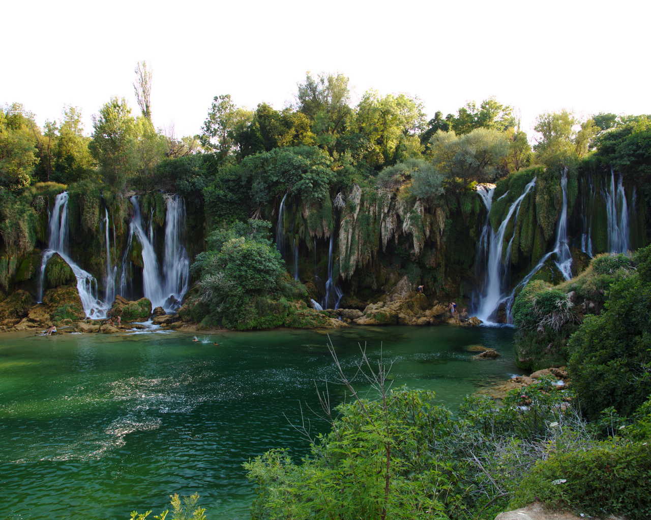   , , kravice, , , 