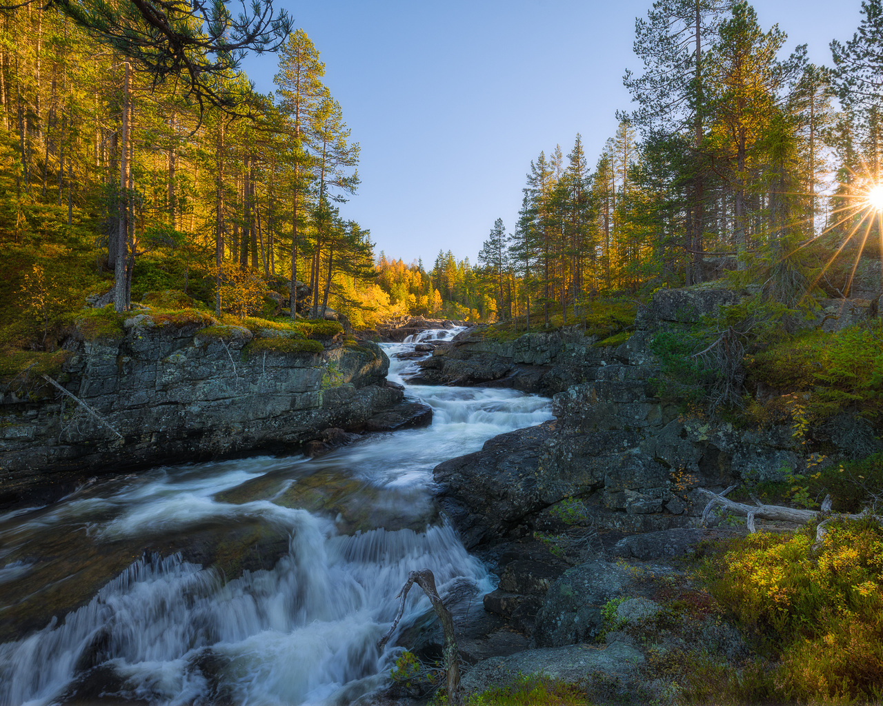 , , ,  ,  , , , , ,ole henrik skjelstad