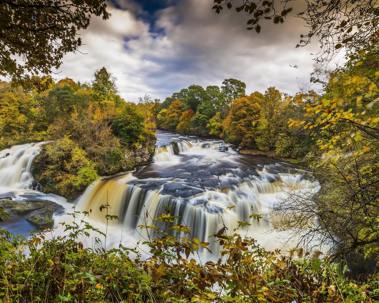     , clyde valley woodlands, , ,,,,,,,.