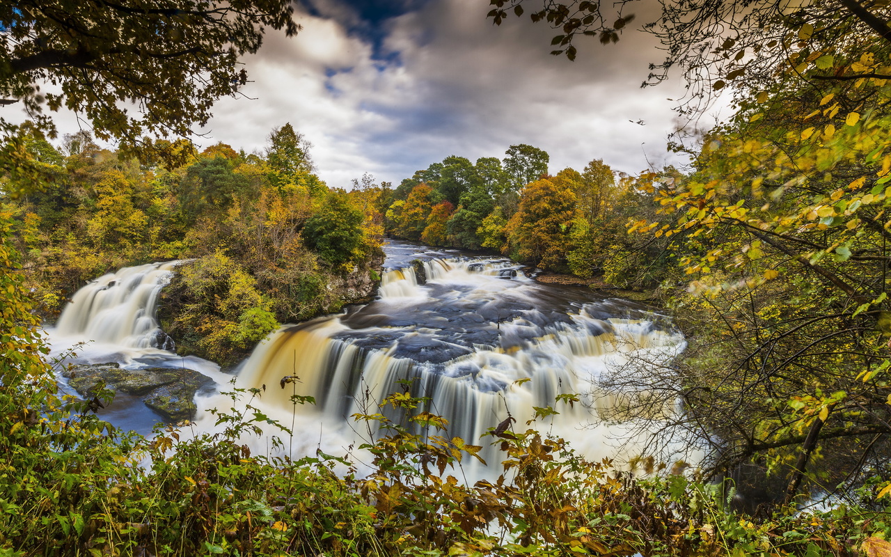     , clyde valley woodlands, , ,,,,,,,.