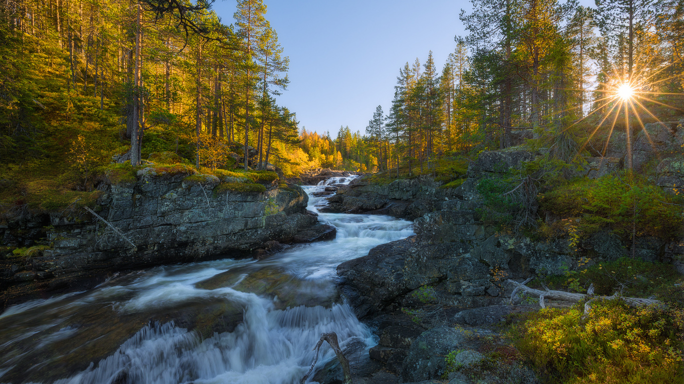 , , ,  ,  , , , , ,ole henrik skjelstad