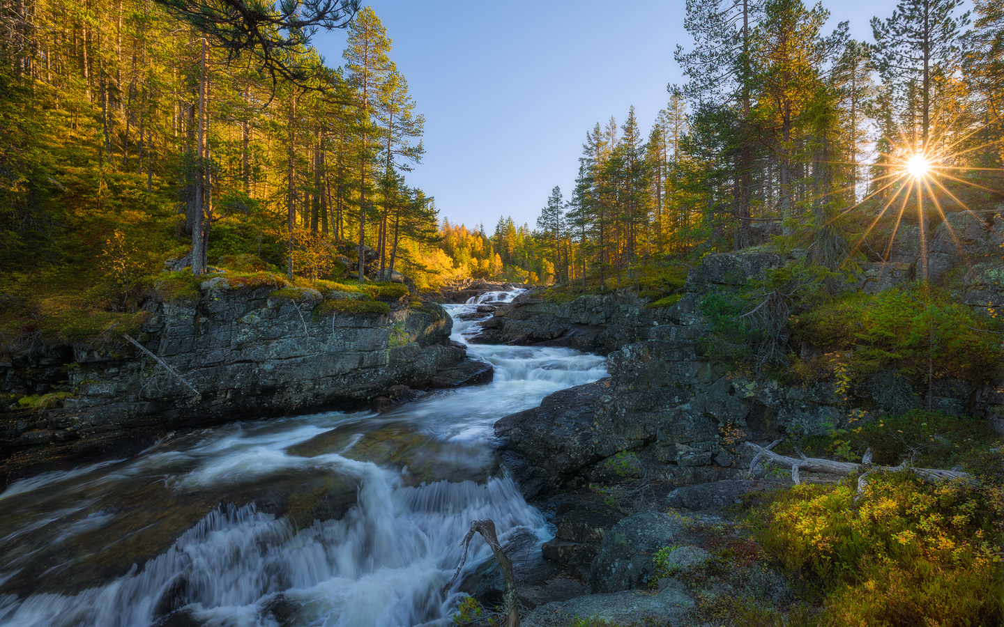 , , ,  ,  , , , , ,ole henrik skjelstad