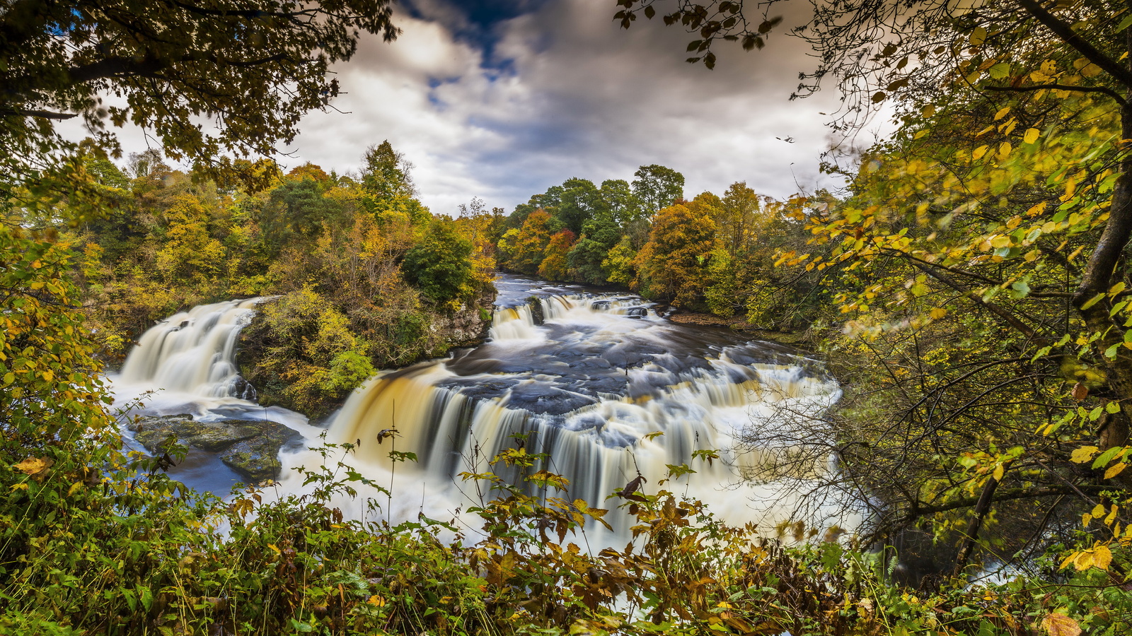     , clyde valley woodlands, , ,,,,,,,.