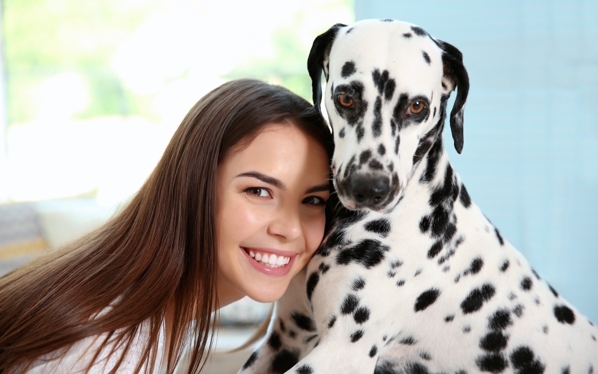 , , , , dalmatian, dog