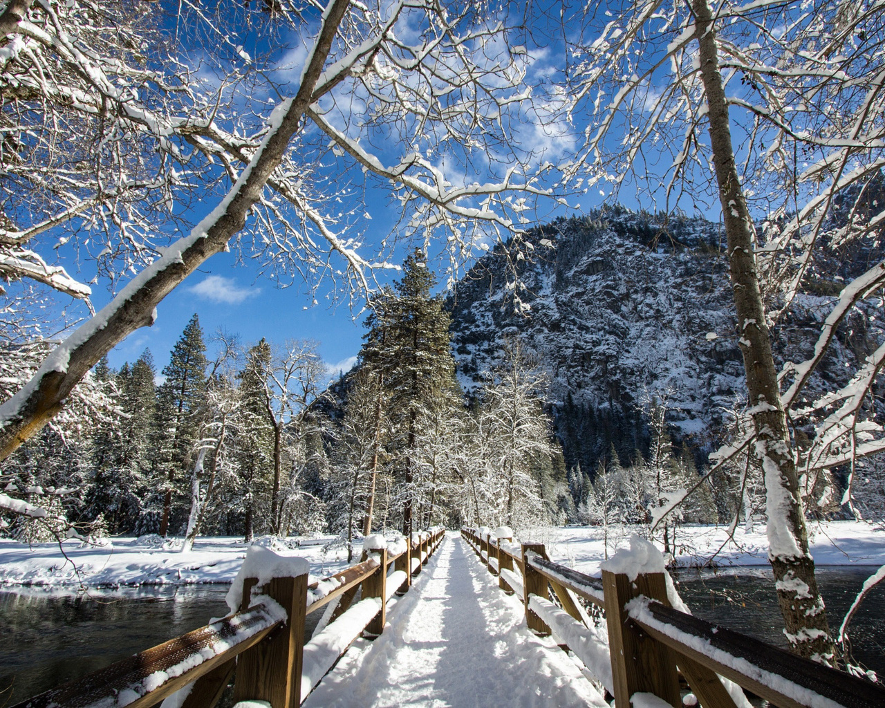 , yosemite national park, , , , , , 