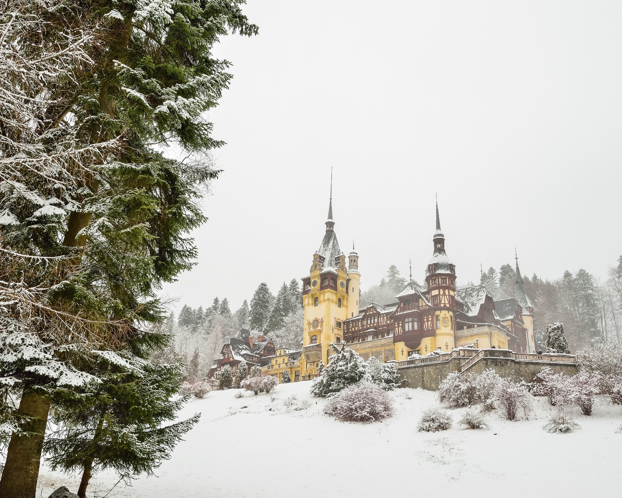 peles castle, romania, , , 