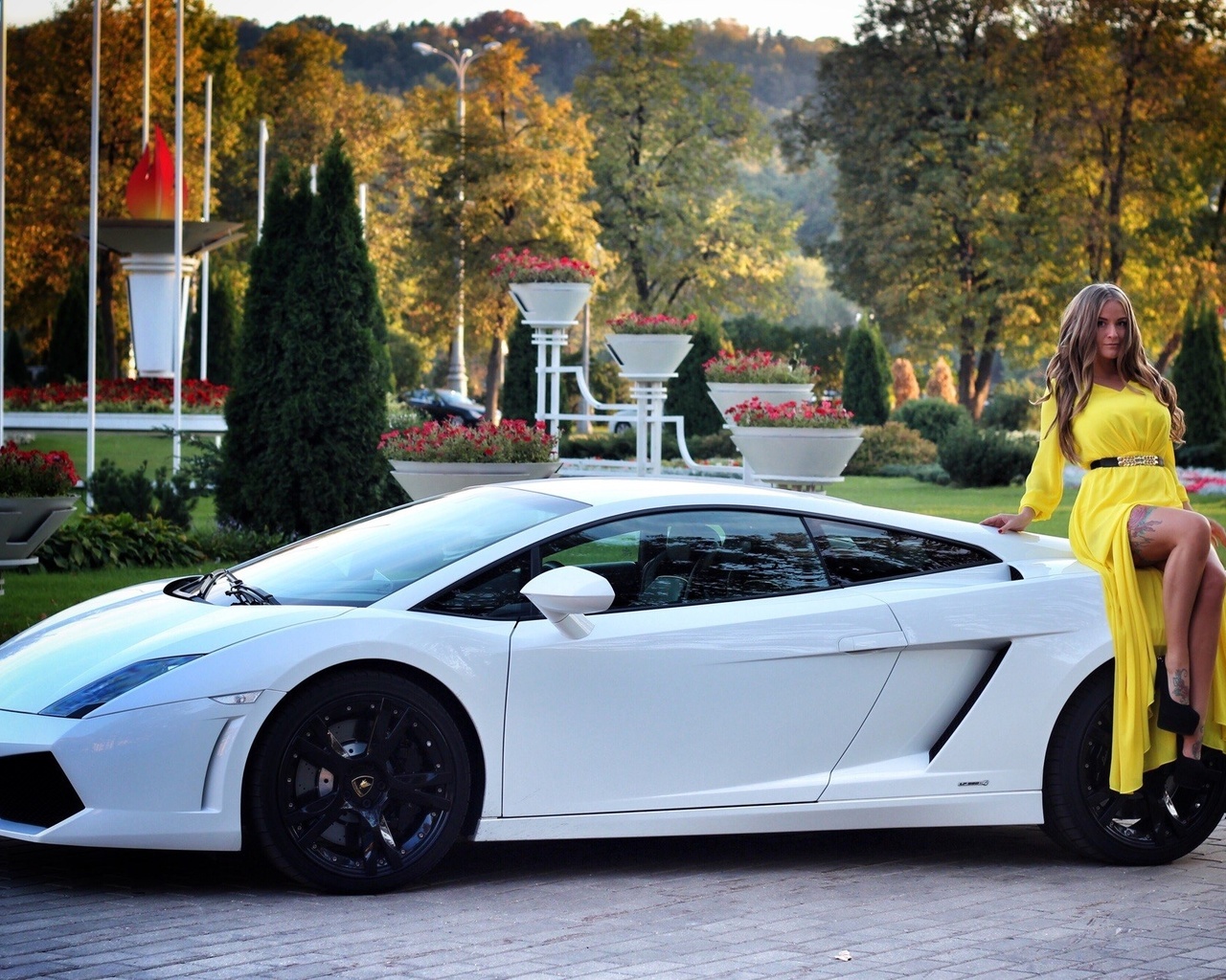  , , ,  , , , ,  , lamborghini, 