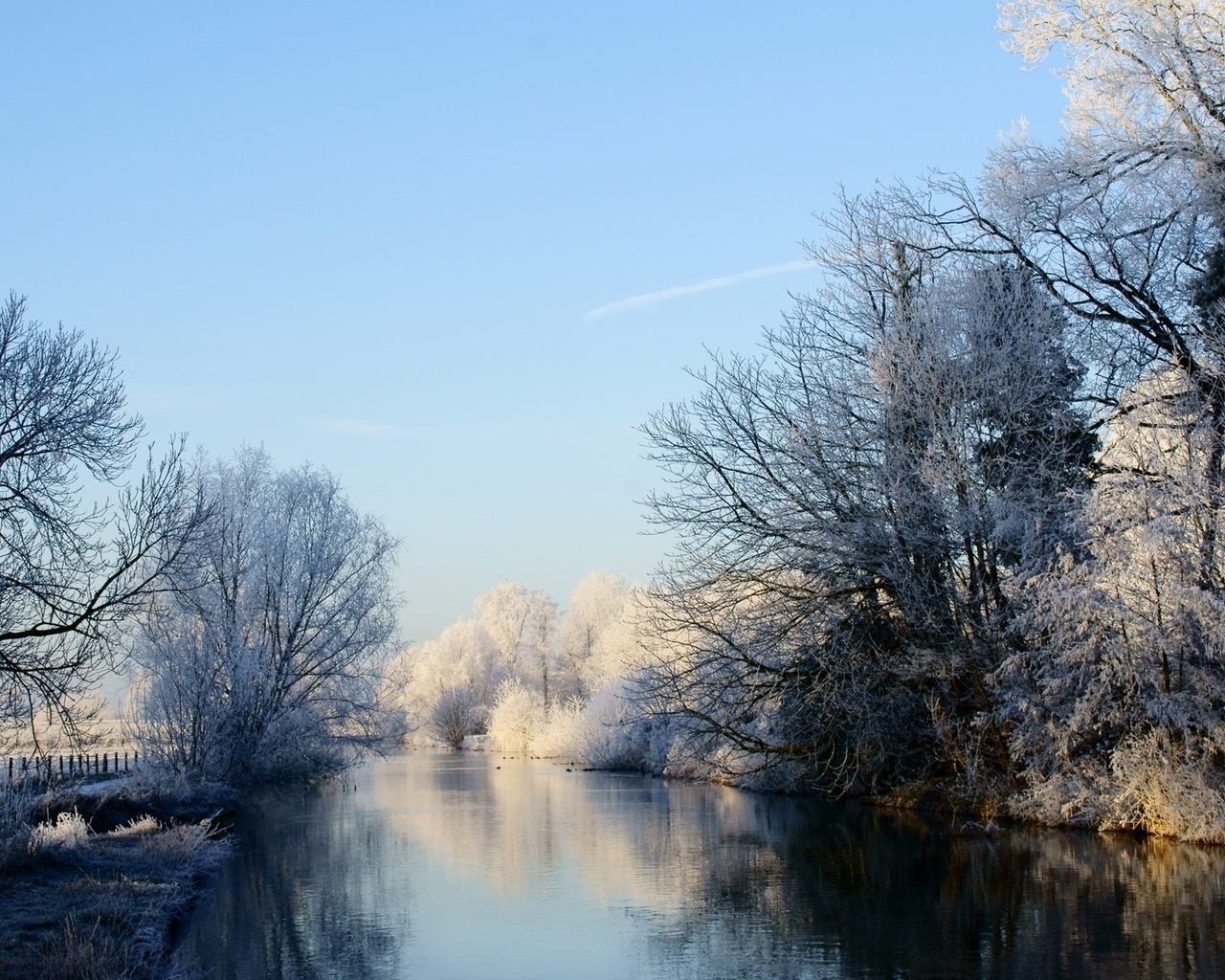 winter, trees, , forest, , , nature, , rivers