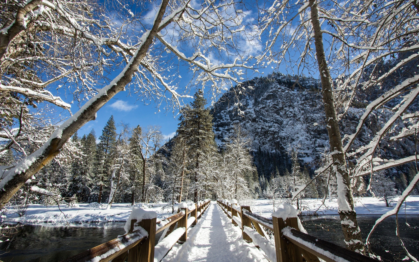 , yosemite national park, , , , , , 