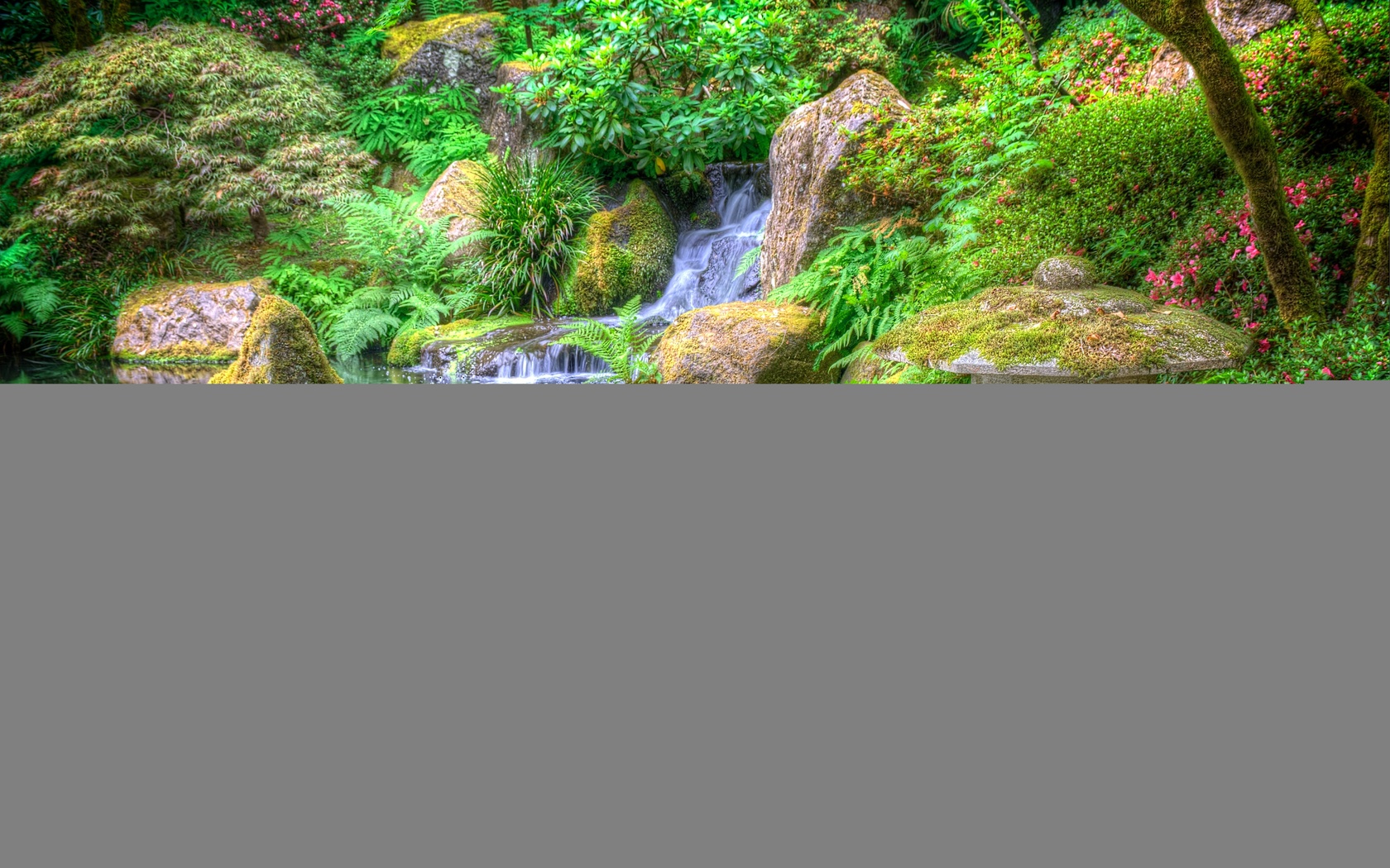 japanese garden, , , , 