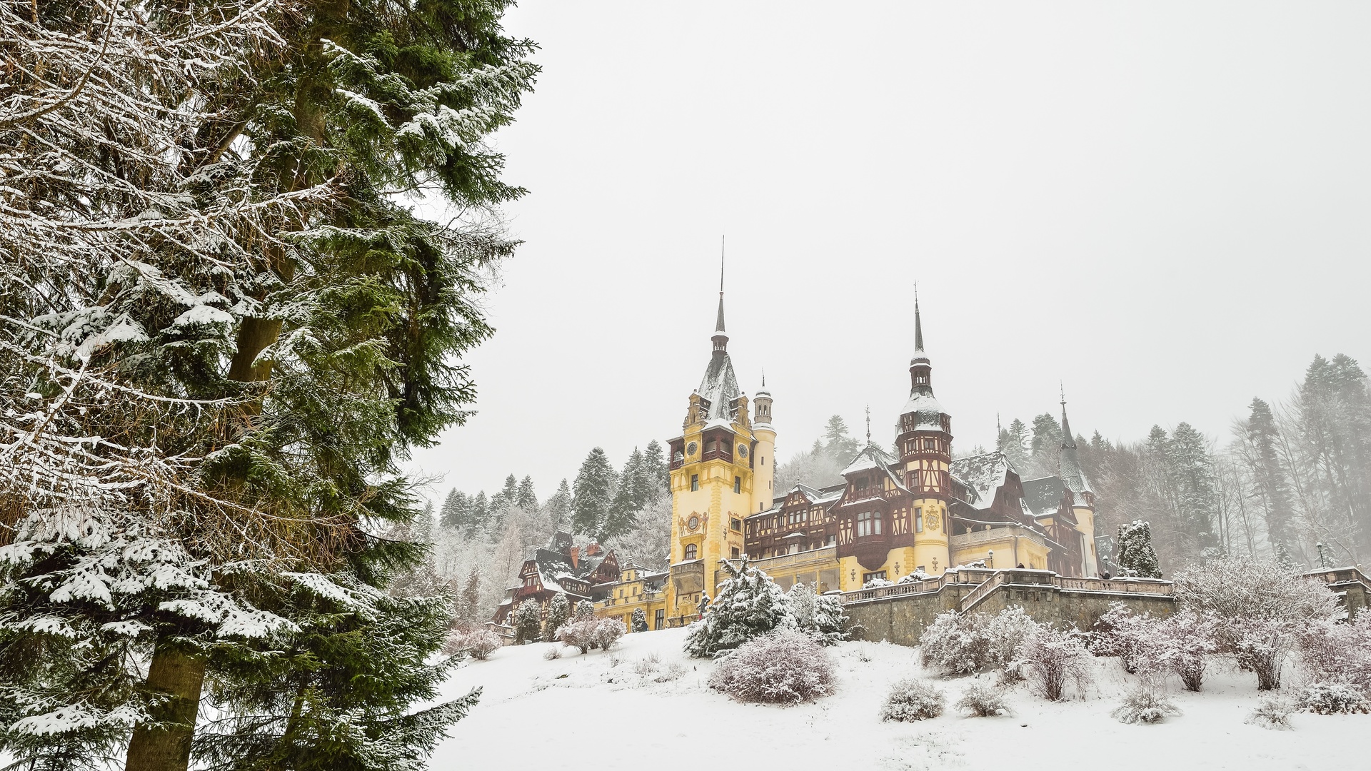 peles castle, romania, , , 