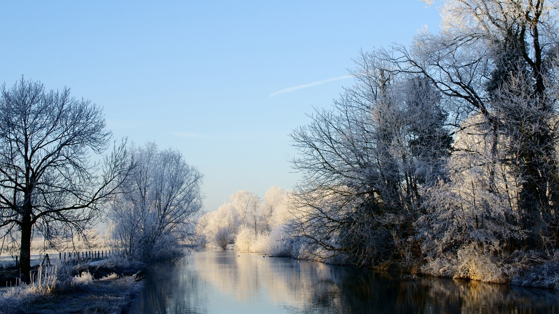 winter, trees, , forest, , , nature, , rivers