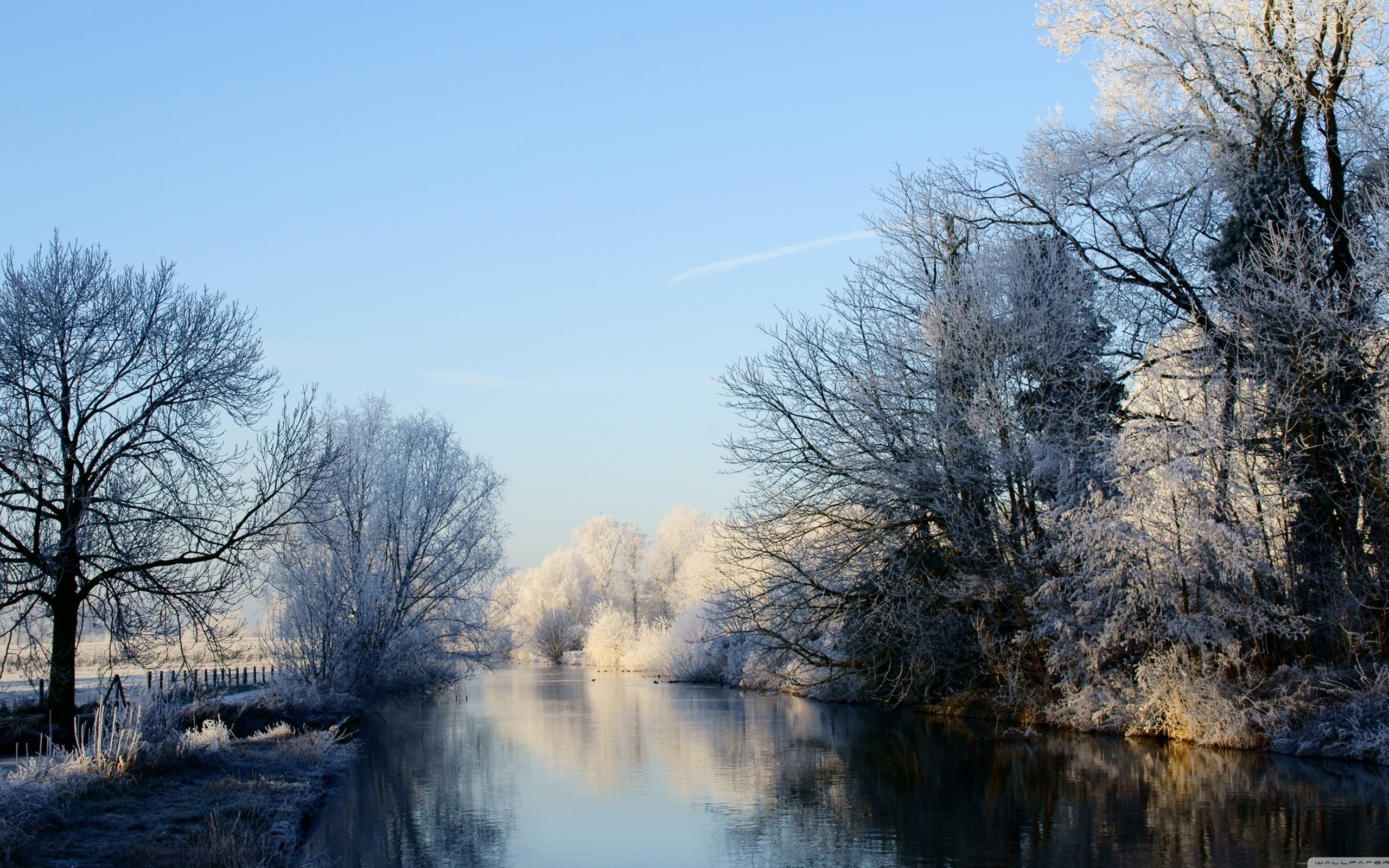 winter, trees, , forest, , , nature, , rivers