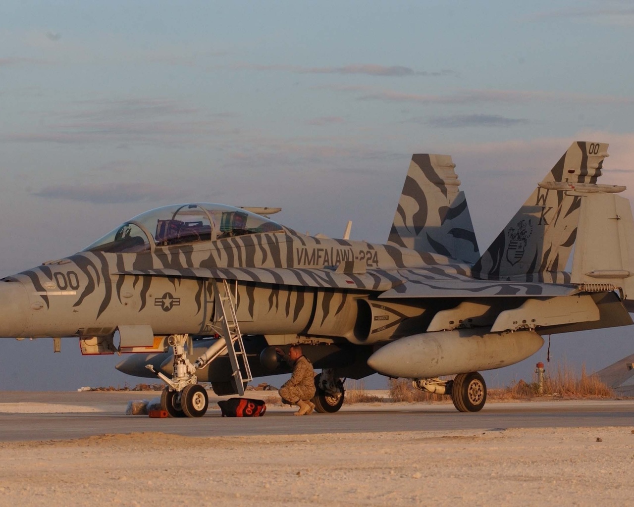 hornet, al asad airbase, mcdonnell douglas, fa-18d, usa, , 