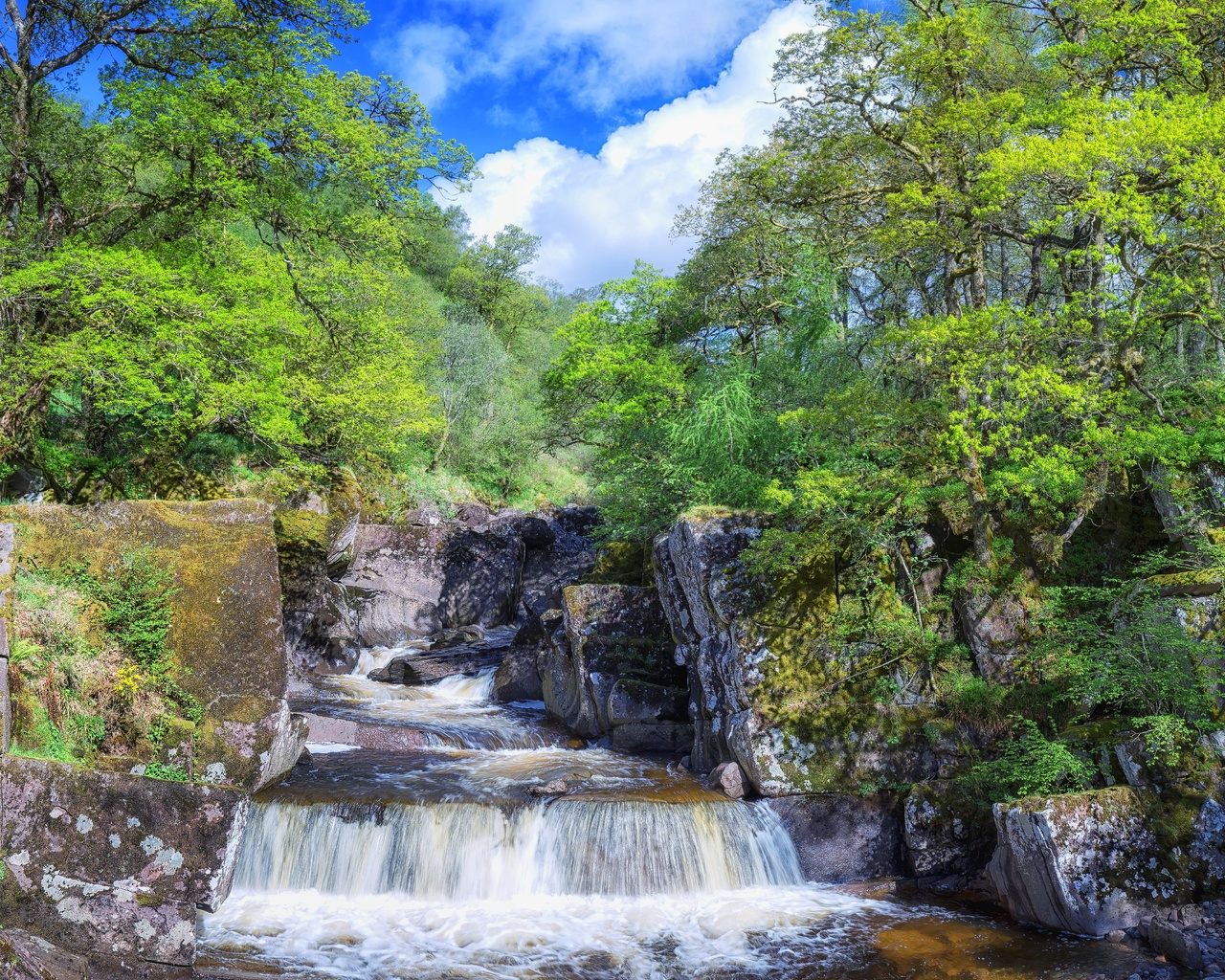 trossachs national park, ,   trossachs, , , 