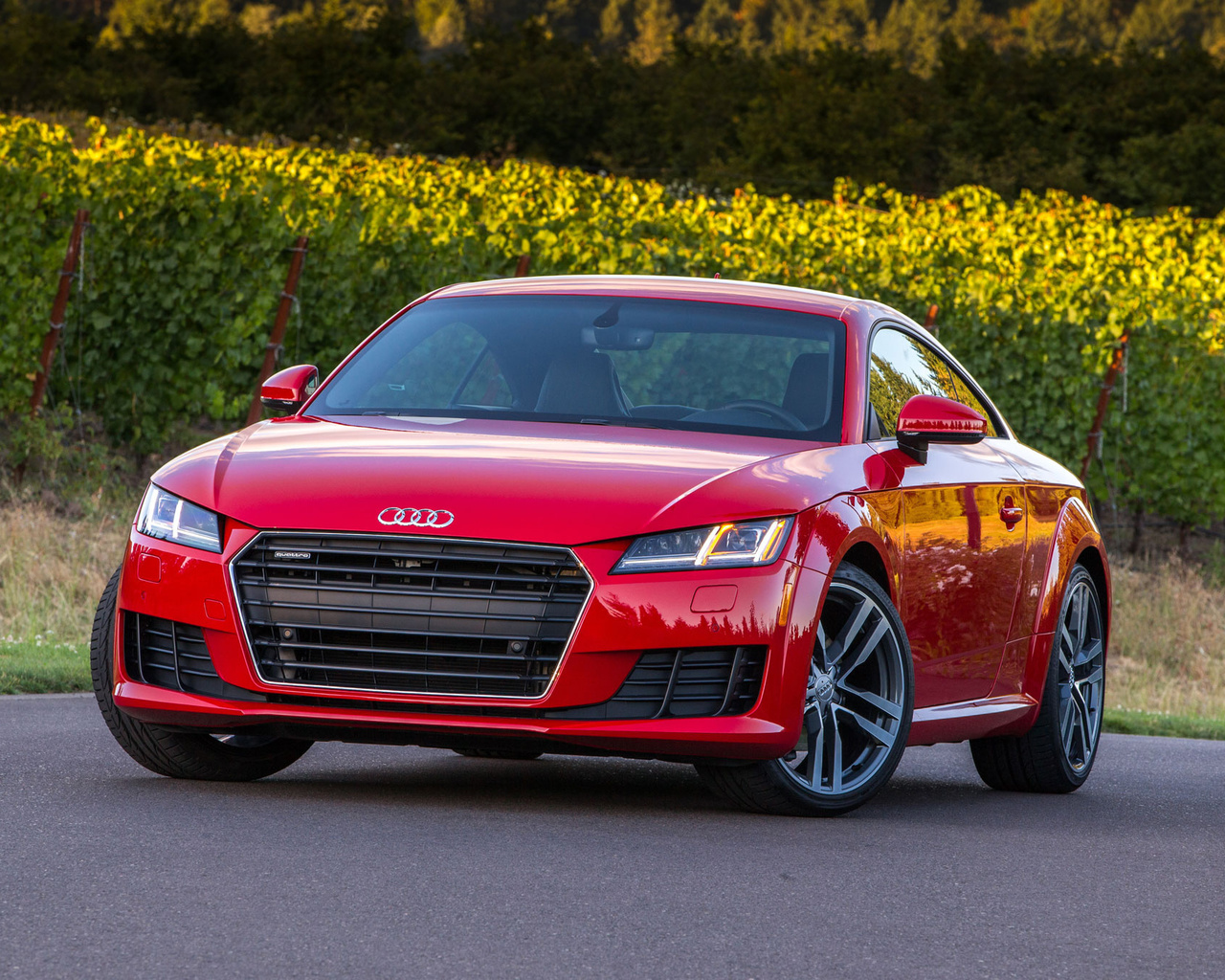 quarter, audi tt, 