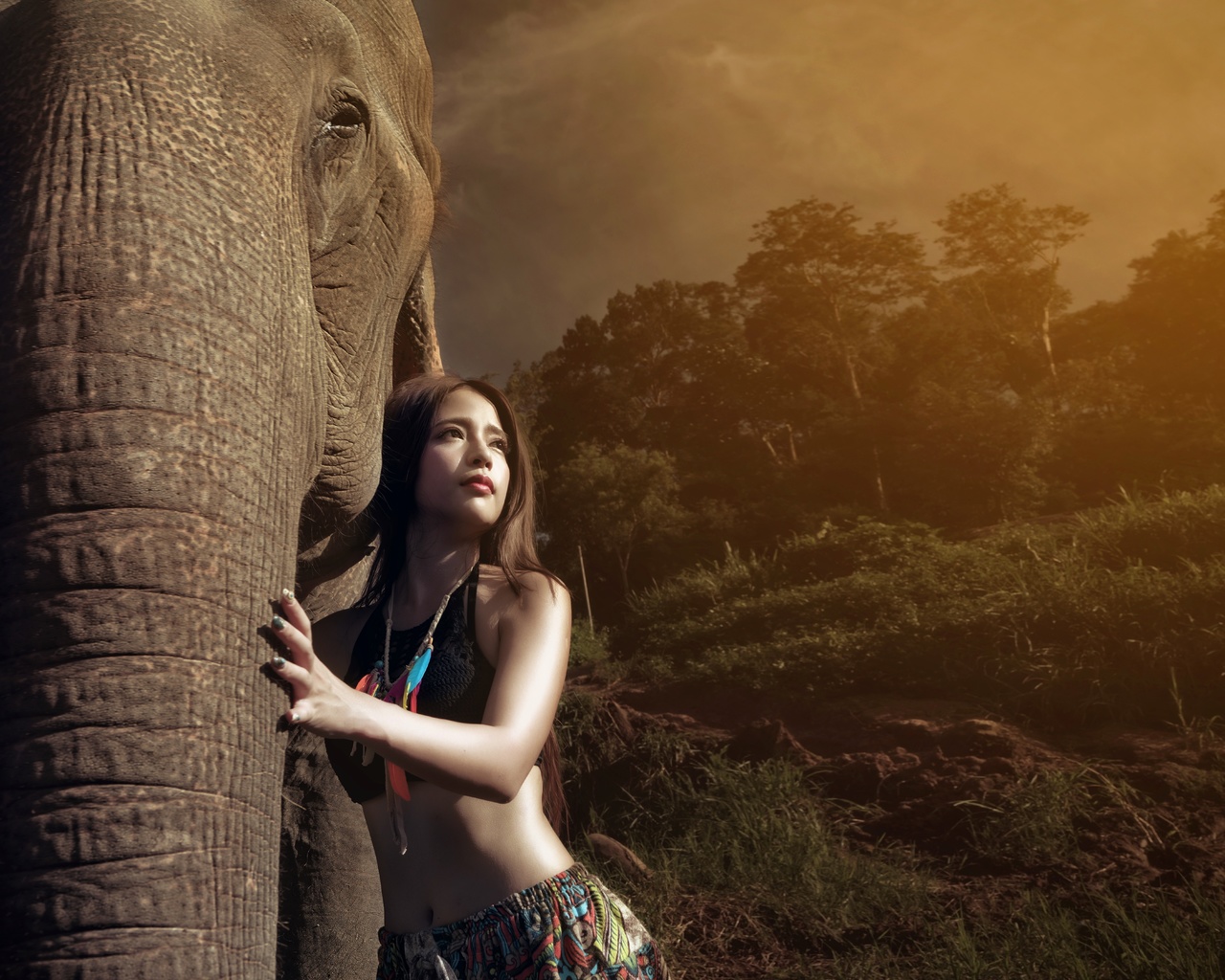 , , , , , , , elephant, jungle, girl