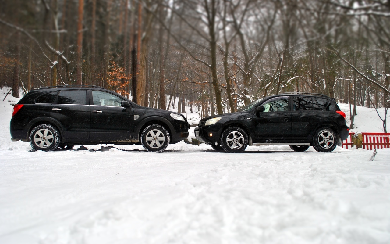 chevrolet, toyota, winter, forest