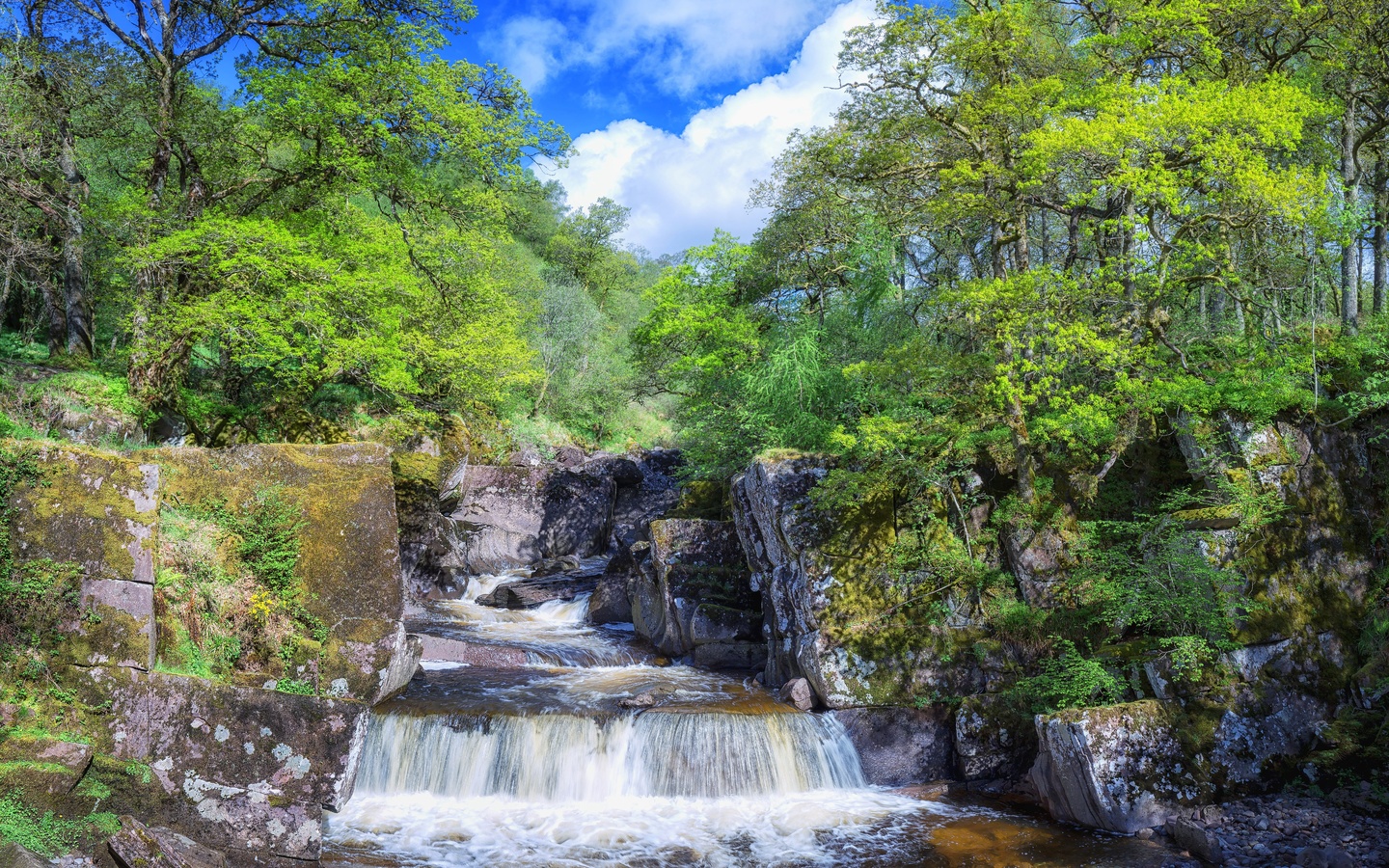 trossachs national park, ,   trossachs, , , 