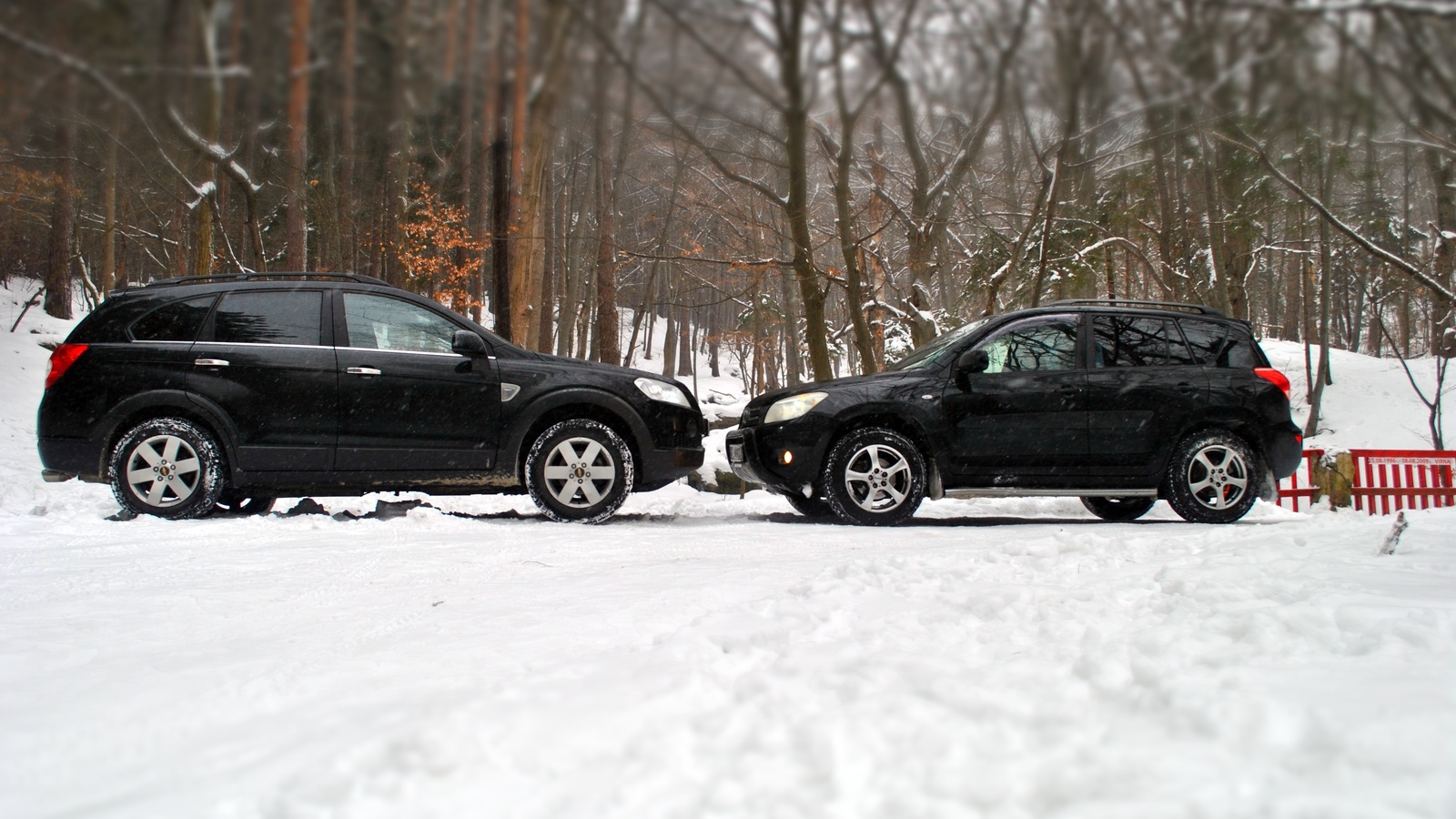 chevrolet, toyota, winter, forest