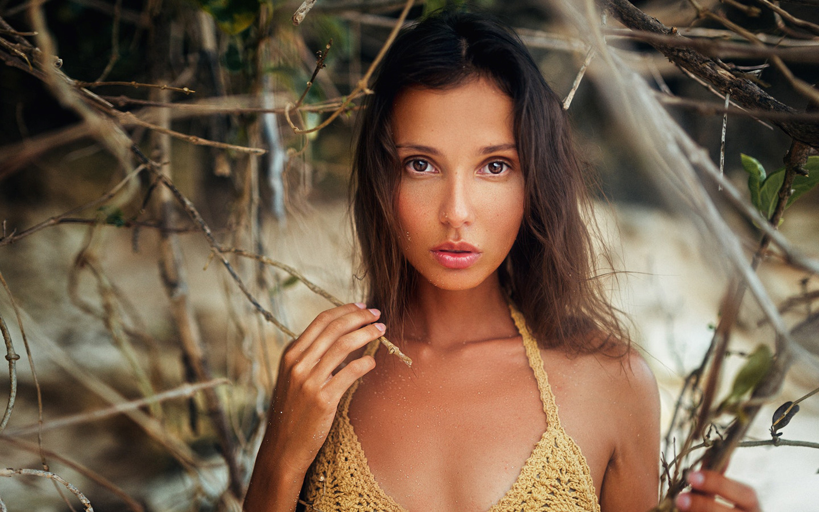 women, tanned, bikini top, portrait, face, depth of field, , , , , , 